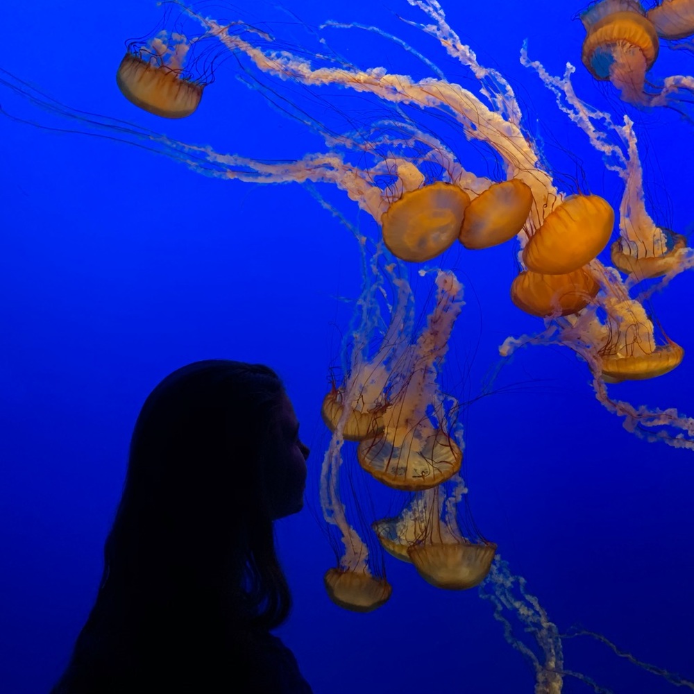 Meet your Posher, Erin